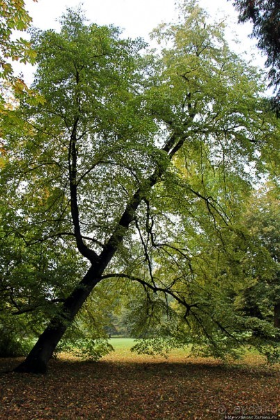 Замковый сад в Кромержиже — объект ЮНЕСКО 860-001