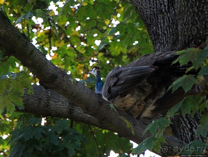 Замковый сад в Кромержиже — объект ЮНЕСКО 860-001