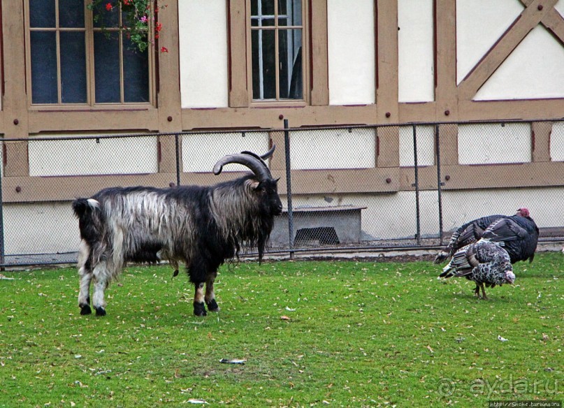 Замковый сад в Кромержиже — объект ЮНЕСКО 860-001