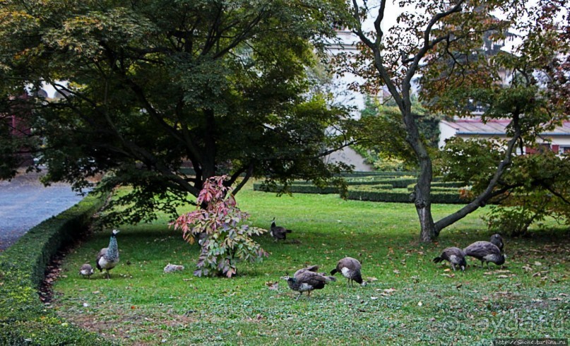 Замковый сад в Кромержиже — объект ЮНЕСКО 860-001