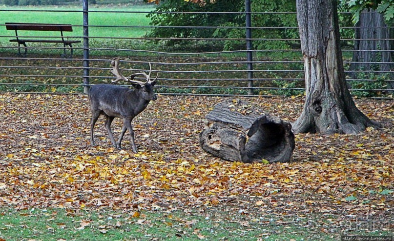 Замковый сад в Кромержиже — объект ЮНЕСКО 860-001