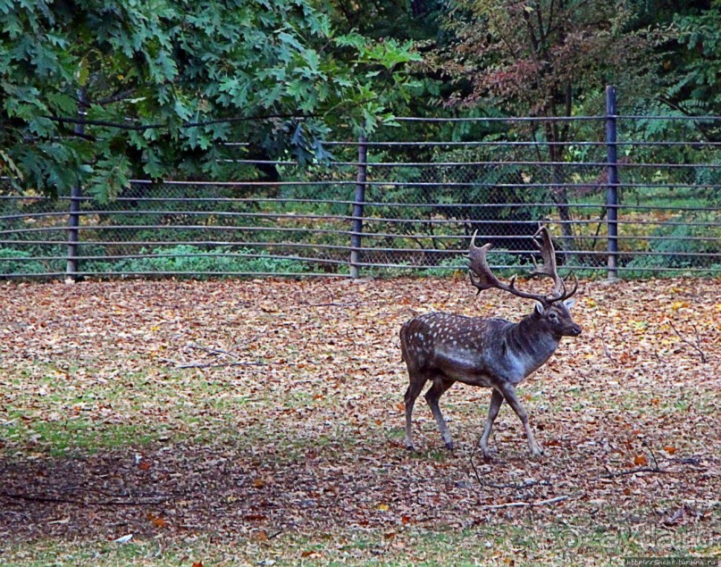 Замковый сад в Кромержиже — объект ЮНЕСКО 860-001