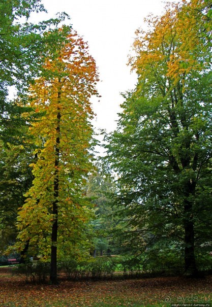Замковый сад в Кромержиже — объект ЮНЕСКО 860-001