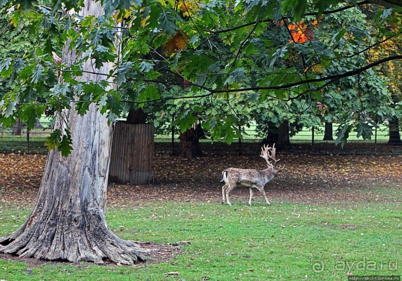 Замковый сад в Кромержиже — объект ЮНЕСКО 860-001