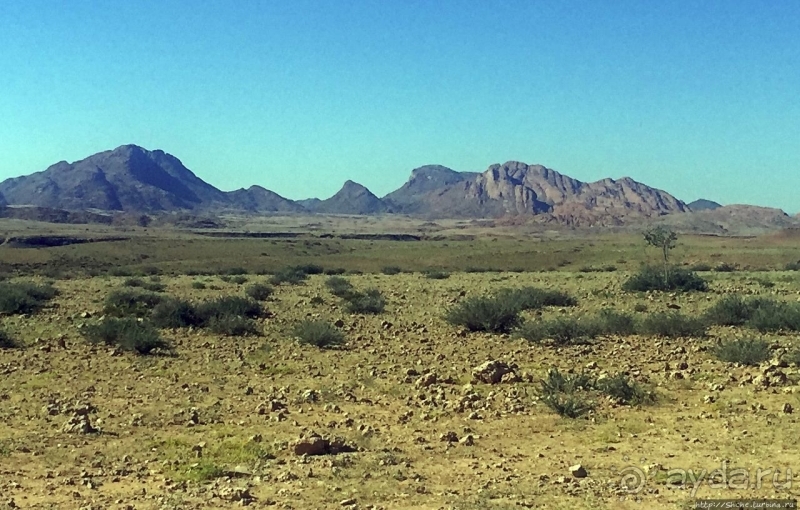 Тропик Козерога — еще одна незримая линия Земли