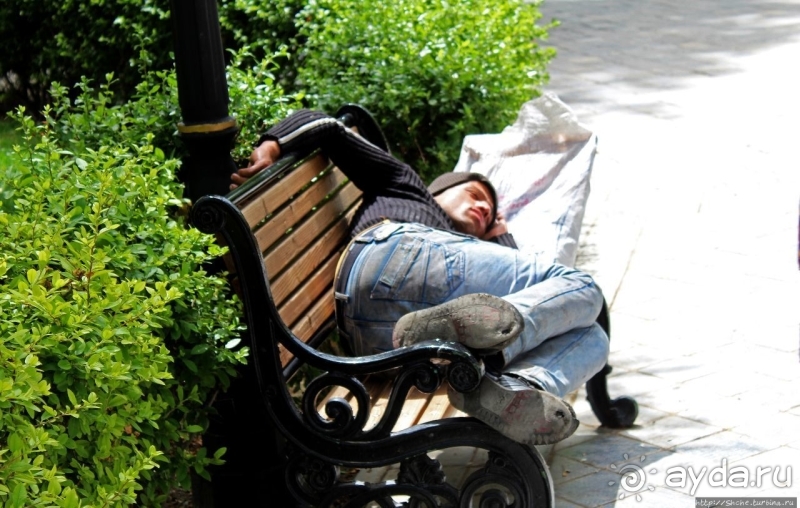 Почти бегом через городской парк Тегерана