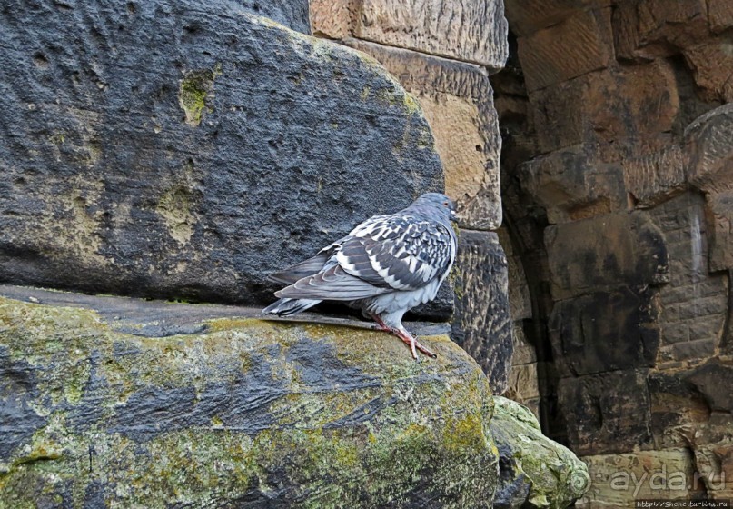 Порта Нигра (Черные ворота) в Трире — объект ЮНЕСКО №367-005