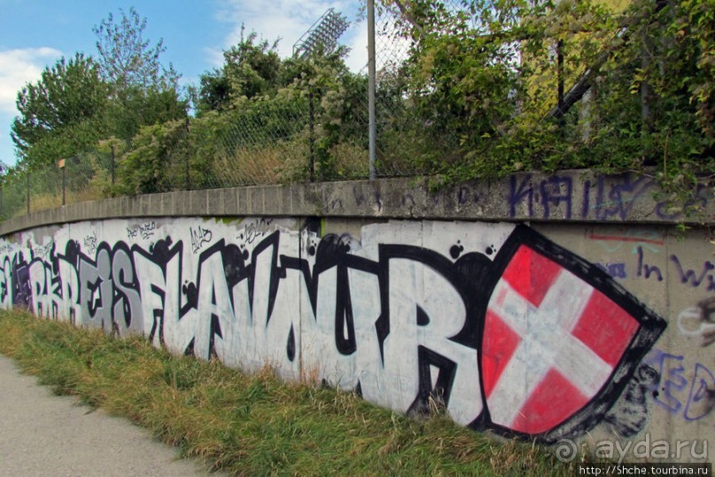 "Наскальные" рисунки... Вены