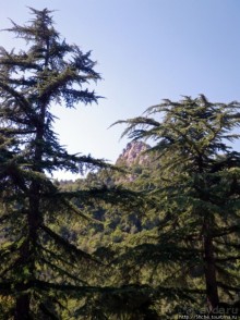 Medveja — уютный уединенный залив с автокемпингом-отелем