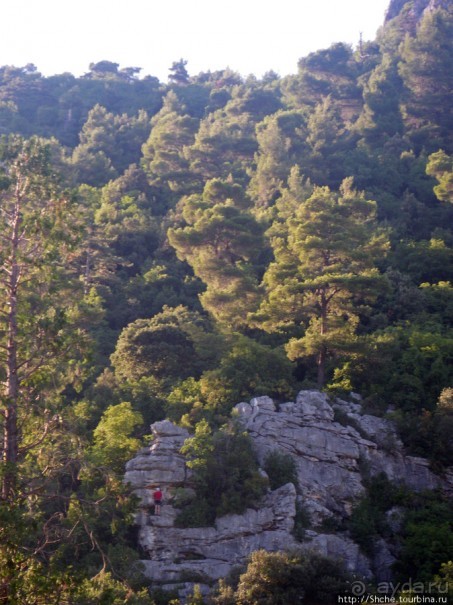 Medveja — уютный уединенный залив с автокемпингом-отелем