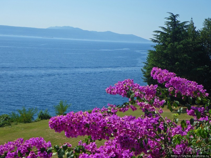 Medveja — уютный уединенный залив с автокемпингом-отелем