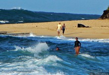 Девушки с доской, или серфинг — не только мужское занятие