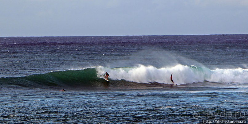 Девушки с доской, или серфинг — не только мужское занятие
