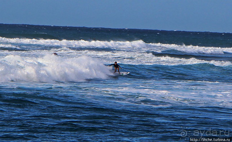 Девушки с доской, или серфинг — не только мужское занятие