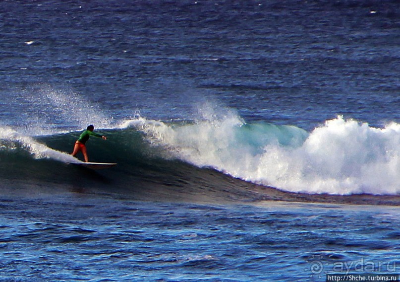 Девушки с доской, или серфинг — не только мужское занятие