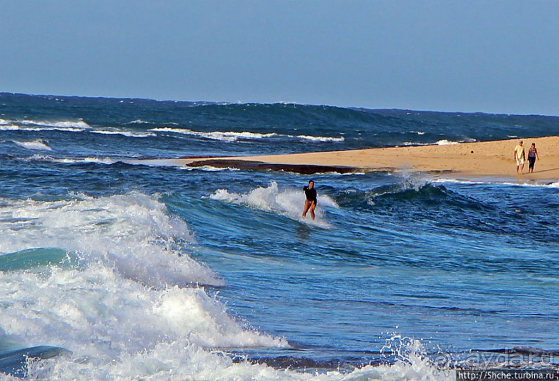 Девушки с доской, или серфинг — не только мужское занятие