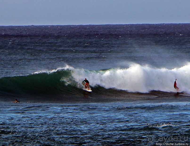 Девушки с доской, или серфинг — не только мужское занятие
