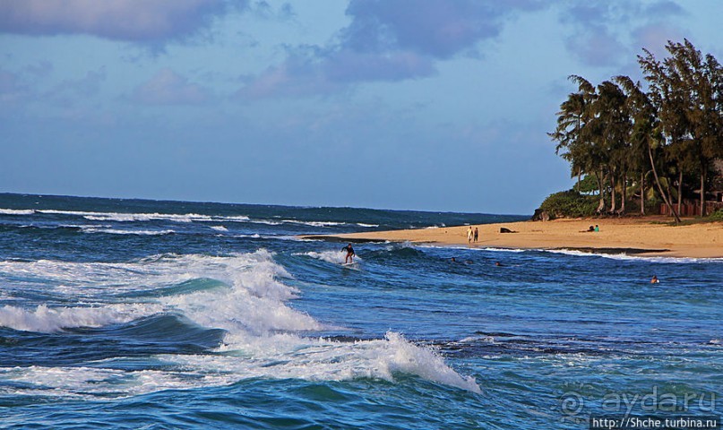 Девушки с доской, или серфинг — не только мужское занятие