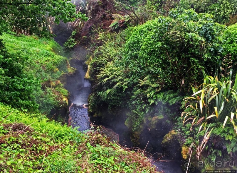Термальные бассейны на лоне дикой природы