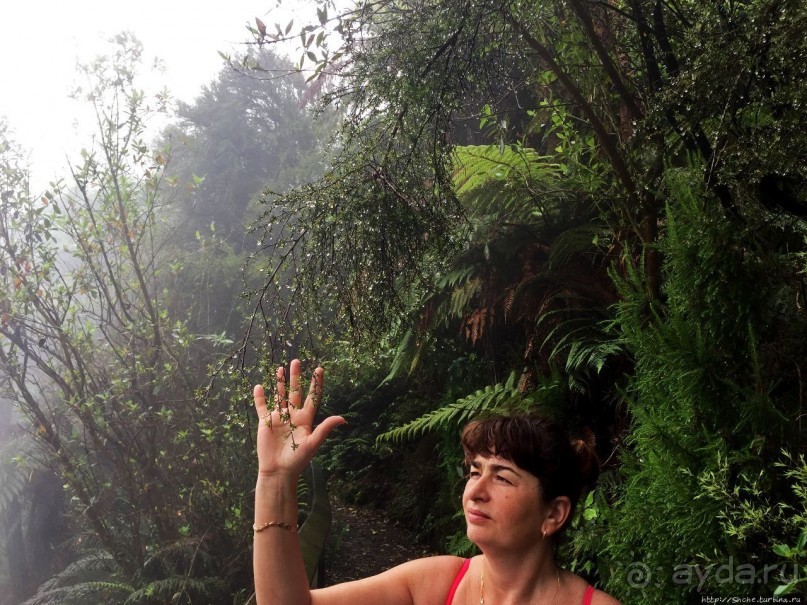 Термальные бассейны на лоне дикой природы