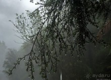 Термальные бассейны на лоне дикой природы