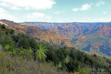 Ваймеа (Waimea Сanyon) — Великий Тихоокеанский каньон