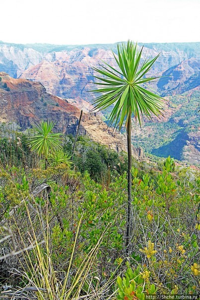 Ваймеа (Waimea Сanyon) — Великий Тихоокеанский каньон