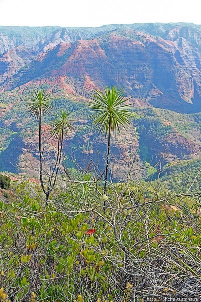 Ваймеа (Waimea Сanyon) — Великий Тихоокеанский каньон