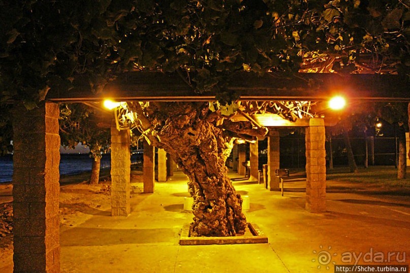 Вечерняя прогулка по Вайкики