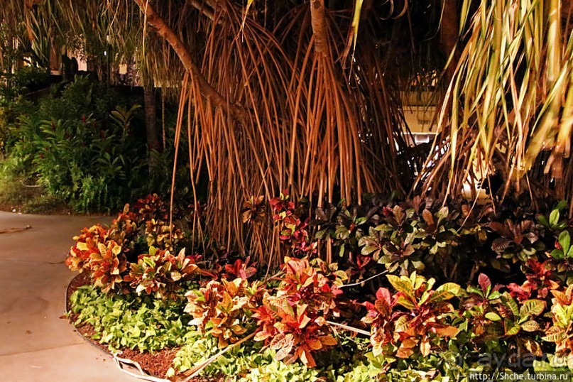 Вечерняя прогулка по Вайкики