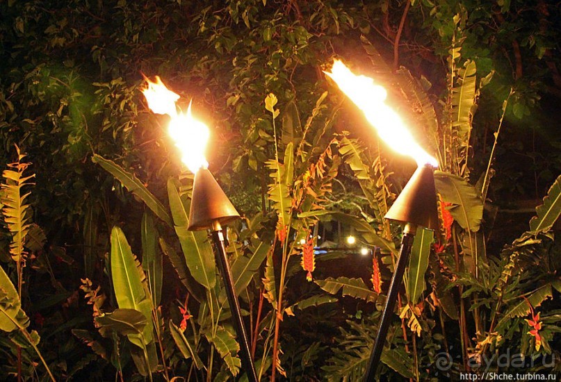 Вечерняя прогулка по Вайкики