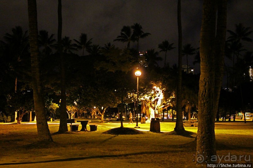 Вечерняя прогулка по Вайкики