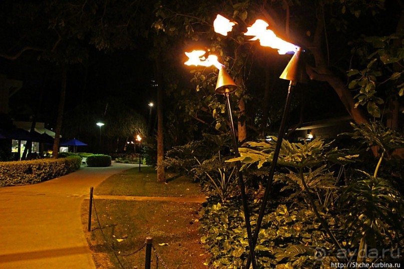 Вечерняя прогулка по Вайкики