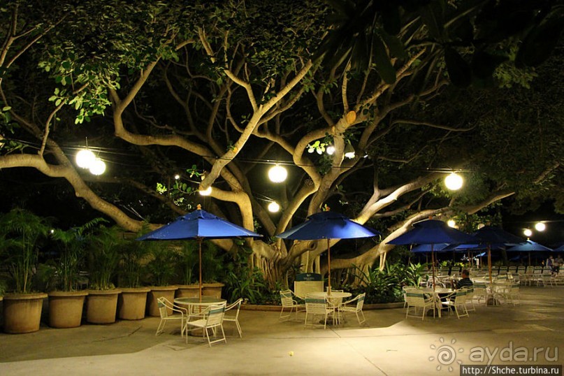 Вечерняя прогулка по Вайкики