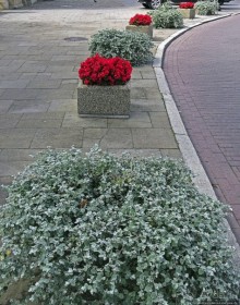 "Идеальный город" Замосць — кусочек Италии на востоке Польши