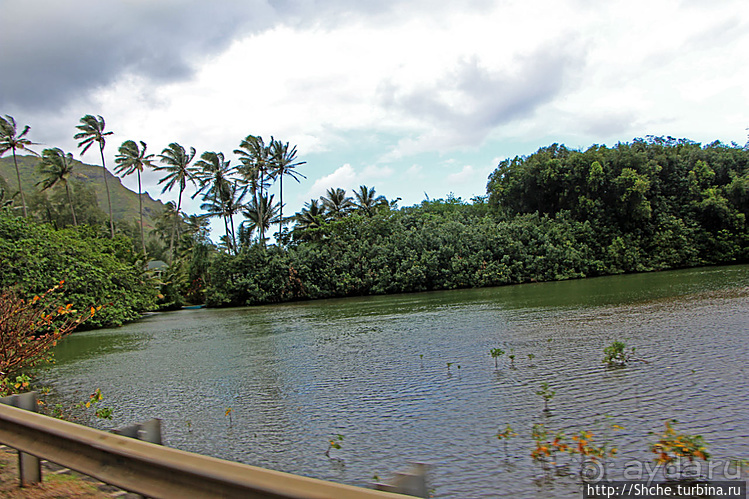 Восточное побережье острова Оаху — царство гольфа и рыбалки