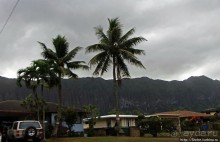 Восточное побережье острова Оаху — царство гольфа и рыбалки