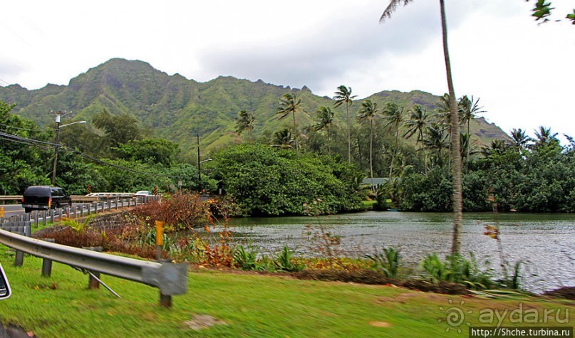 Восточное побережье острова Оаху — царство гольфа и рыбалки