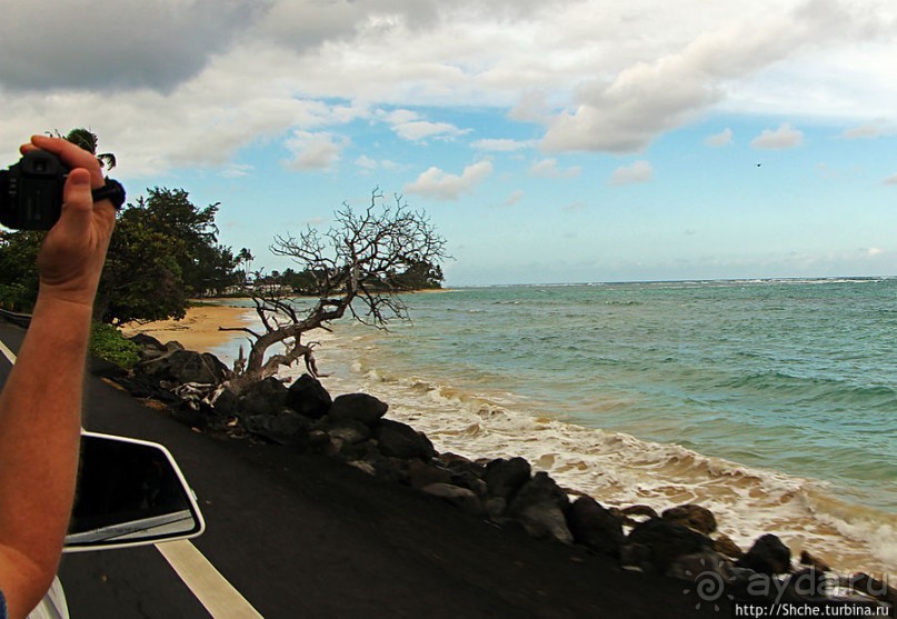 Восточное побережье острова Оаху — царство гольфа и рыбалки