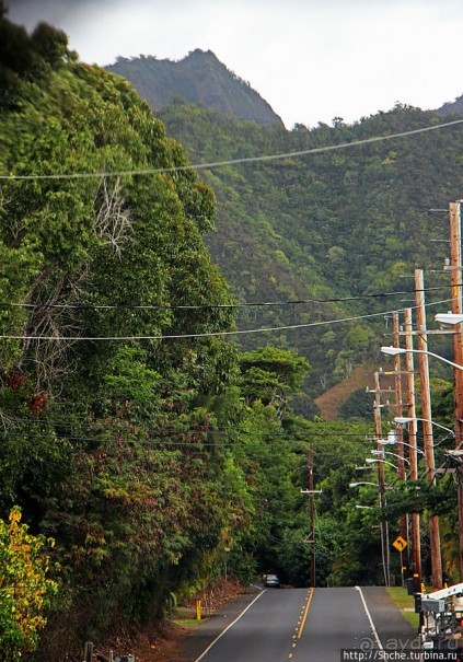Восточное побережье острова Оаху — царство гольфа и рыбалки