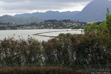 Восточное побережье острова Оаху — царство гольфа и рыбалки