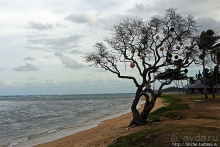 Восточное побережье острова Оаху — царство гольфа и рыбалки