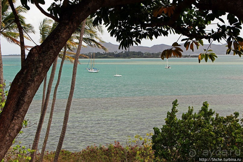 Восточное побережье острова Оаху — царство гольфа и рыбалки