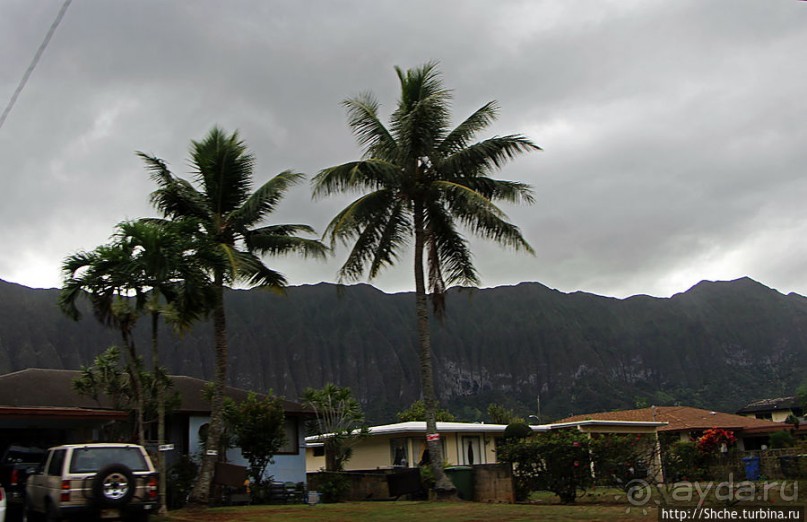 Восточное побережье острова Оаху — царство гольфа и рыбалки