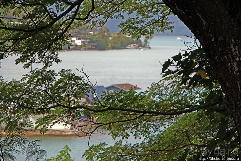 Восточное побережье острова Оаху — царство гольфа и рыбалки