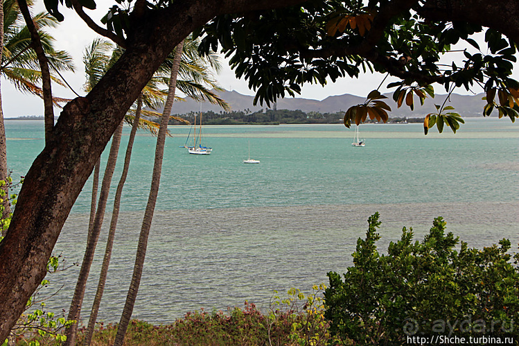 Восточное побережье острова Оаху — царство гольфа и рыбалки