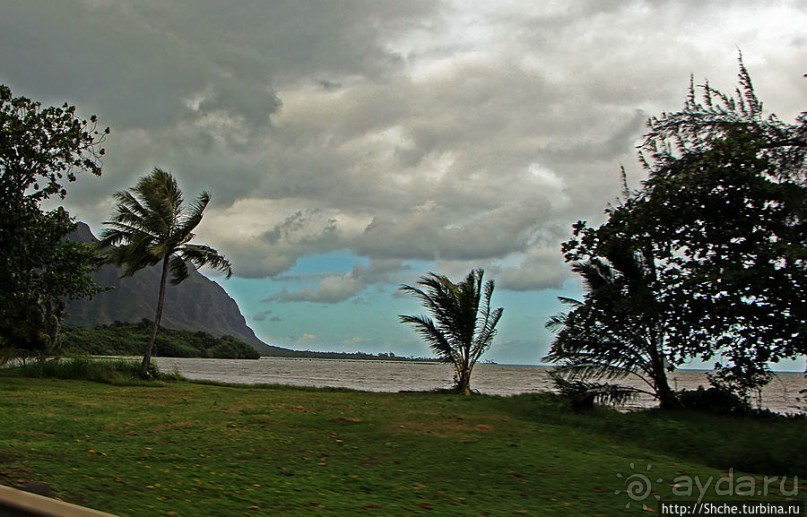 Восточное побережье острова Оаху — царство гольфа и рыбалки