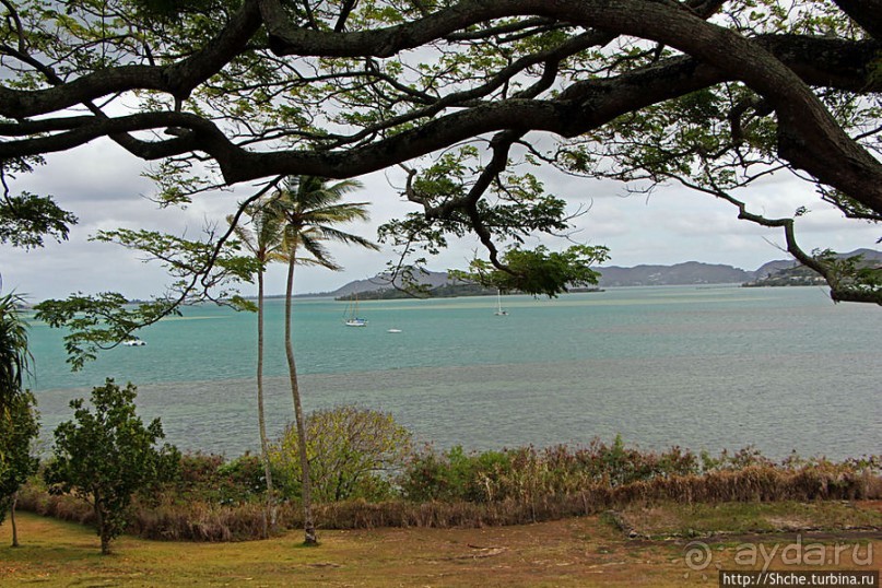 Альбом отзыва "Восточное побережье острова Оаху — царство гольфа и рыбалки"