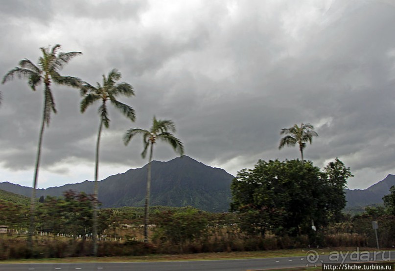 Восточное побережье острова Оаху — царство гольфа и рыбалки