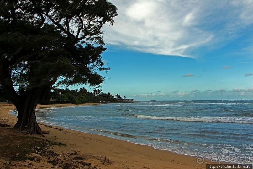 Восточное побережье острова Оаху — царство гольфа и рыбалки
